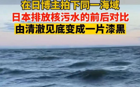 从海里捞出一只变异奥特曼？